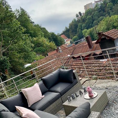 Felix Living 7, Modern & Cozy, Geilste Dachterrasse Der Stadt, 7 Schlafzimmer 帕绍 外观 照片