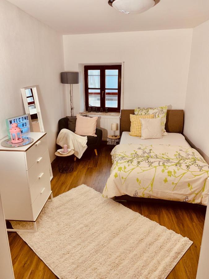 Felix Living 7, Modern & Cozy, Geilste Dachterrasse Der Stadt, 7 Schlafzimmer 帕绍 外观 照片